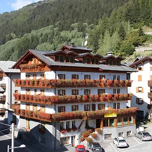 Edelweiss Isolaccia